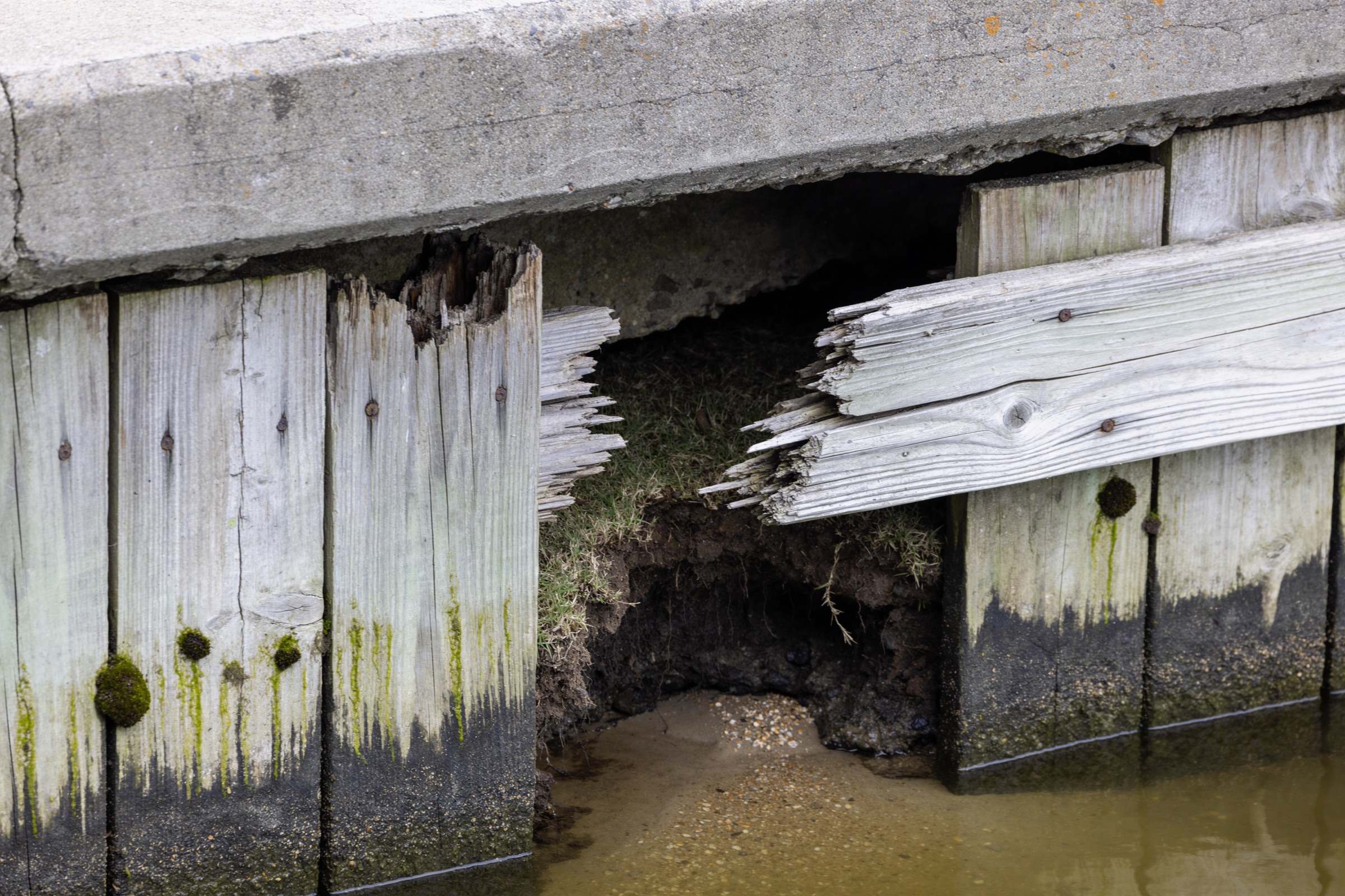 A timber bulkhead with a broken board and a void washed out behind the concrete cap, soil and turf exposed at the waterline.